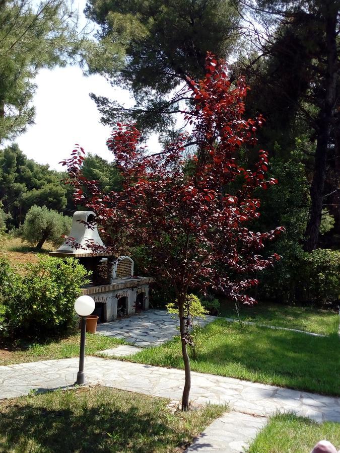 Sithonia Alekos Luxury Experience Appartement Metamorfosi  Buitenkant foto