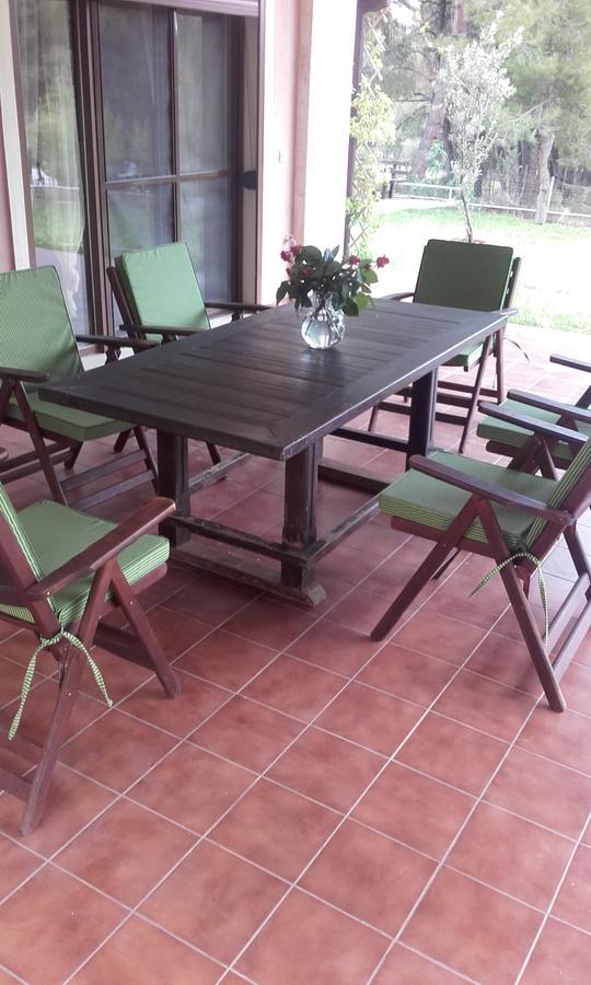 Sithonia Alekos Luxury Experience Appartement Metamorfosi  Buitenkant foto